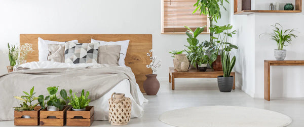 Bright bedroom with a wood platform bed