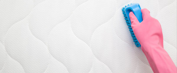 Gloved hand scrubbing mattress with brush