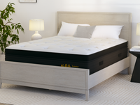 Bedroom with Nolah Evolution Mattress on the Mesa Bed Frame in Fieldstone